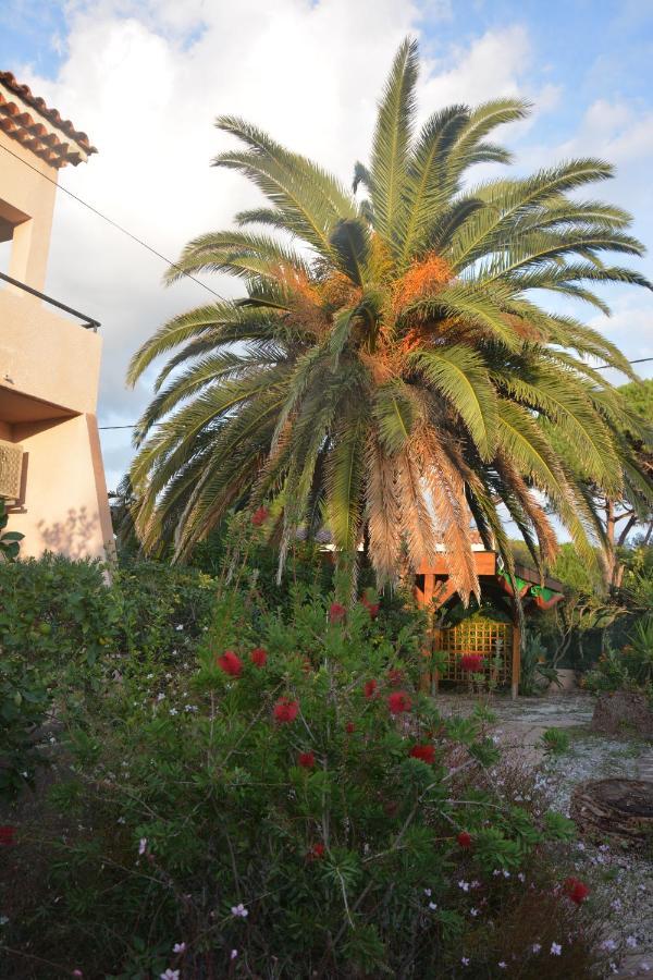 Rose De Sel Appartement Hyères Buitenkant foto
