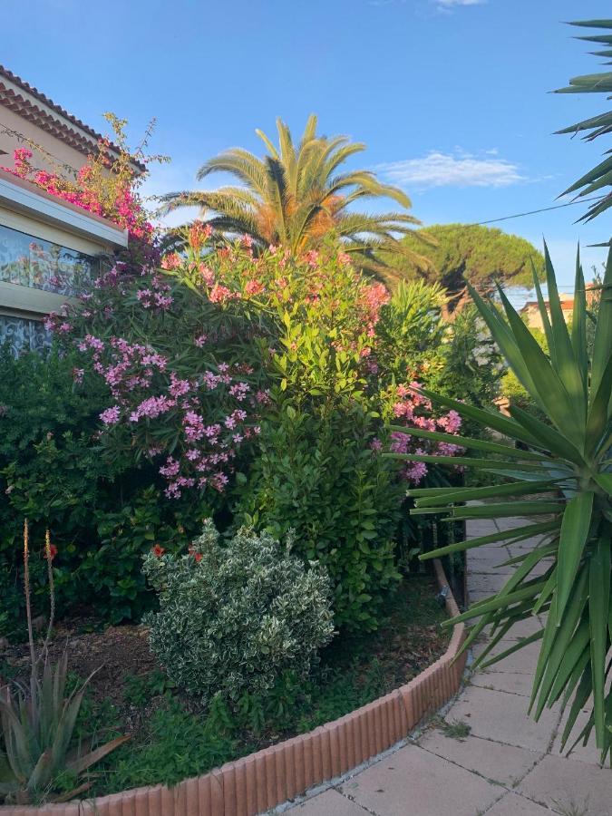 Rose De Sel Appartement Hyères Buitenkant foto